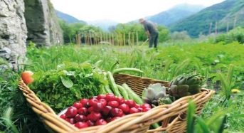 Ο νέος ευρωπαϊκός Κανονισμός για τη βιολογική γεωργία
