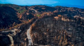 Πανεπιστήμιο Θεσσαλίας Πρόταση για ίδρυση δασικής ΚοινΣΕπ στην Β. Εύβοια