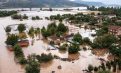 Πώς μπορούν οι ΚοινΣΕπ να συμβάλλουν στην ανασυγκρότηση της Θεσσαλίας μετά τις πρόσφατες πλημμύρες;