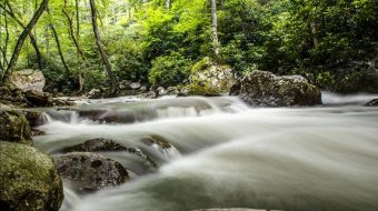 Σχέδιο Νόμου για την Προστασία των Νερών, των Δασών και του Φυσικού Περιβάλλοντος μέσω των Κοινωνικών Συνεταιριστικών Επιχειρήσεων